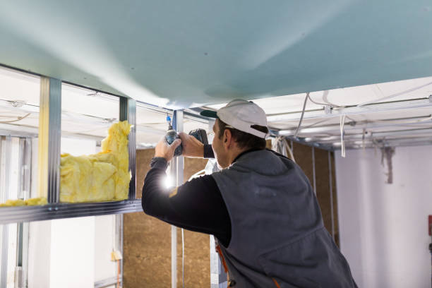 Best Insulation for New Construction  in North Amityville, NY