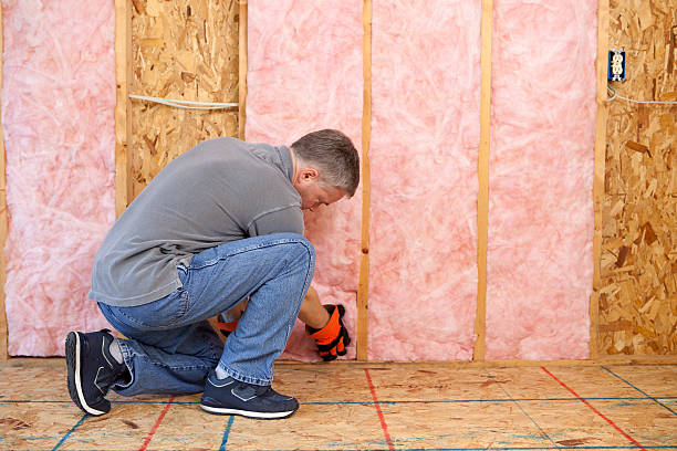 Best Insulation Inspection Services  in North Amityville, NY